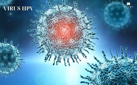 virus-hpv-la-gi