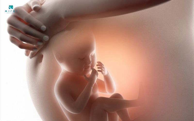 Xét nghiệm Double test không ảnh hưởng tới thai nhi