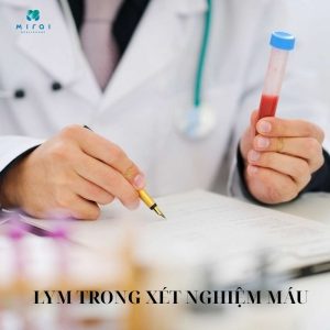 lym-trong-xet-nghiem-mau-la-gi-y-nghia-chi-so-bach-cau