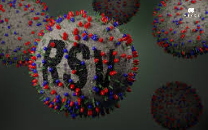 virus-rsv-gay-ra-cac-benh-nhiem-trung-duong-ho-hap-o-nguoi