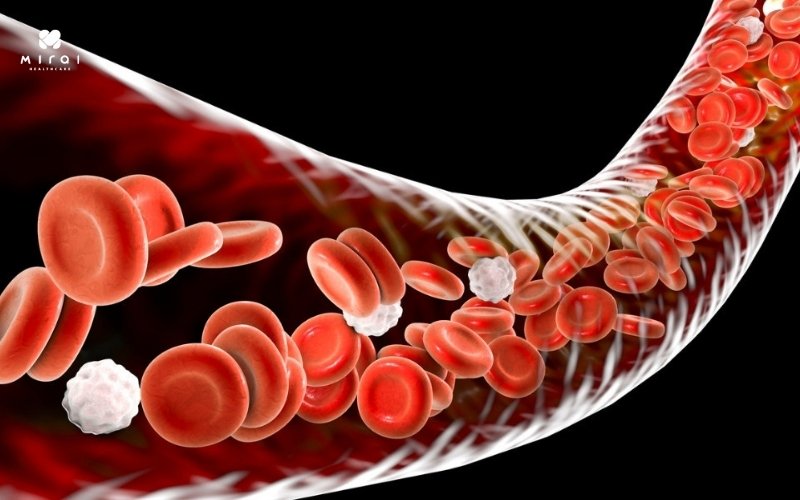 xet-nghiem-hong-cau-luoi-do-ty-le-loai-hong-cau-nay-trong-mau