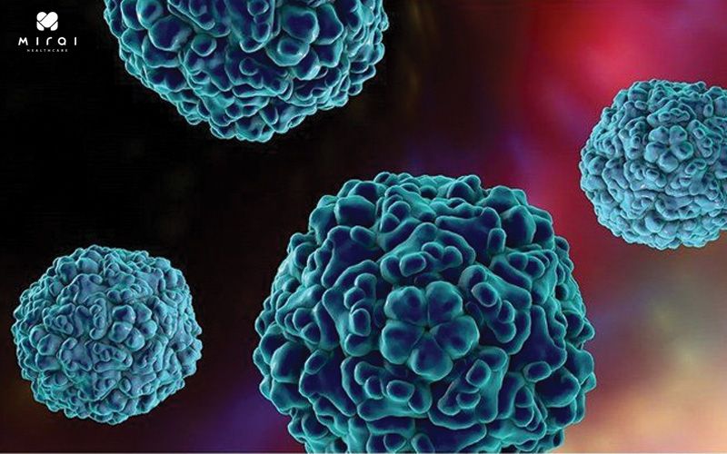 Các virus thuộc họ Enterovirus là nguyên nhân gây bệnh tay chân miệng