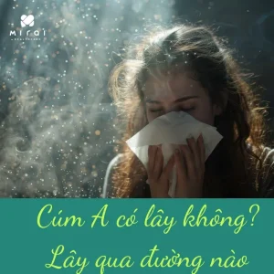 cum-a-co-lay-khong
