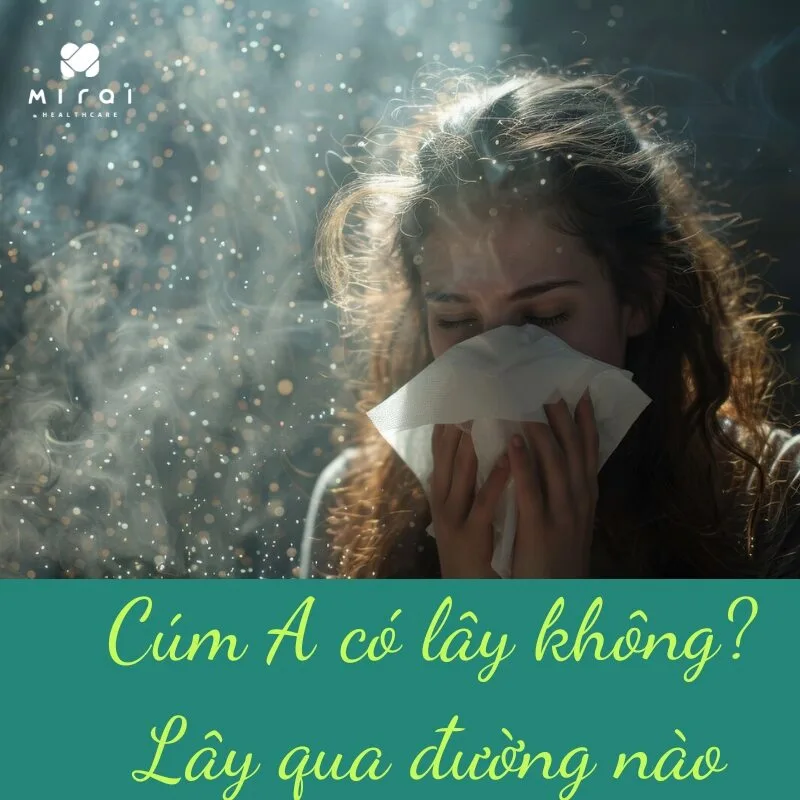 cum-a-co-lay-khong