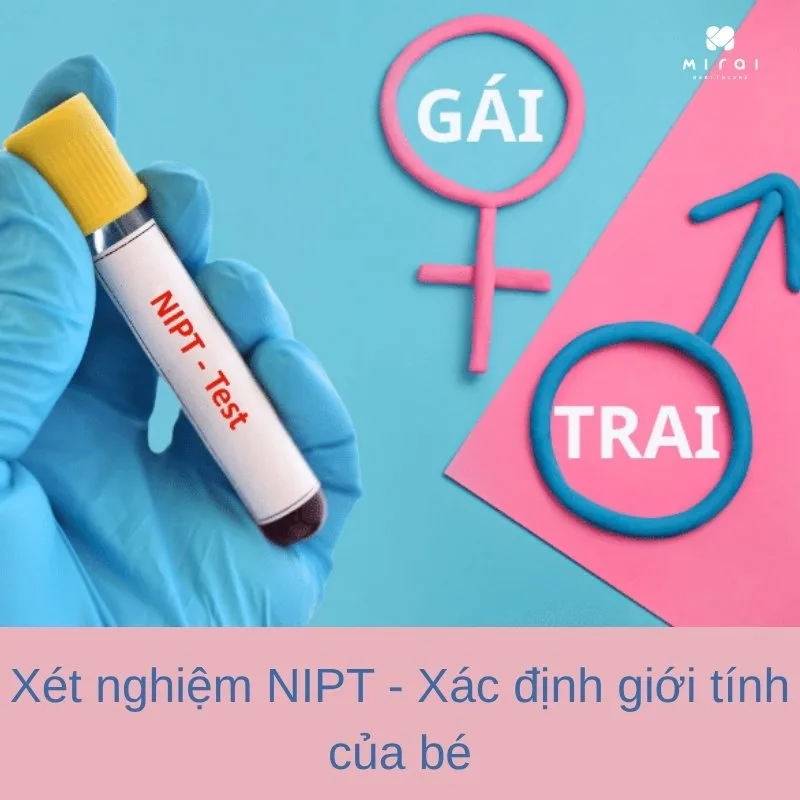 xet-nghiem-nipt-co-biet-duoc-trai-hay-gai-khong