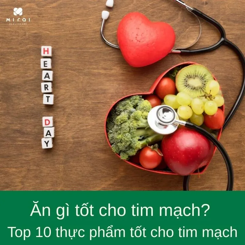 an-gi-tot-cho-tim-mach