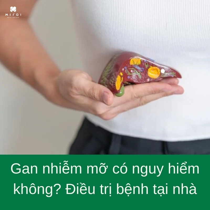 gan-nhiem-mo-co-nguy-hiem-khong