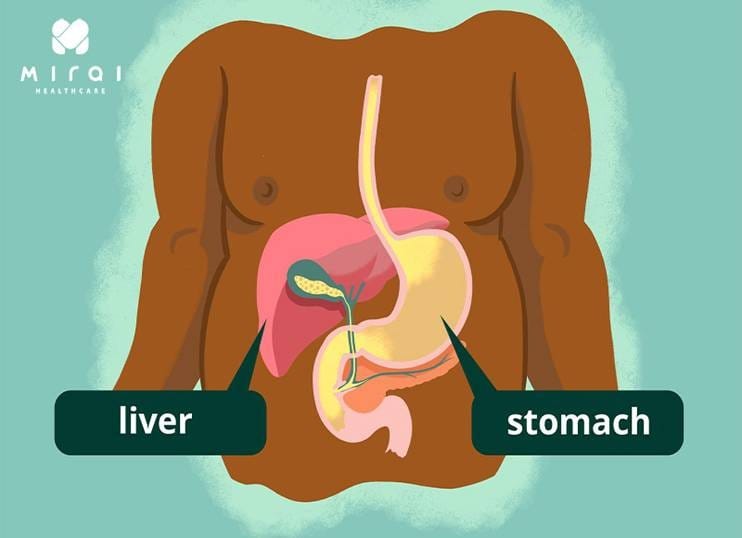 nguyen-nhan-khien-chi-so-ggt-tang-cao