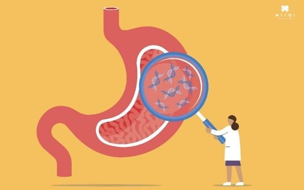 xet-nghiem-mau-hp-da-day-co-chinh-xac-khong