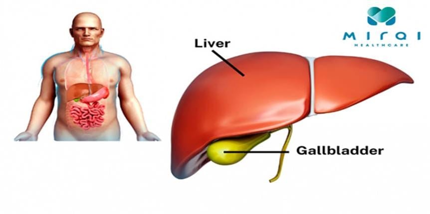 y-nghia-chi-so-alp-trong-xet-nghiem-mau