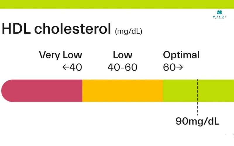 HDL Cholesterol từ 40 - 60 mg/dL được coi là bình thường