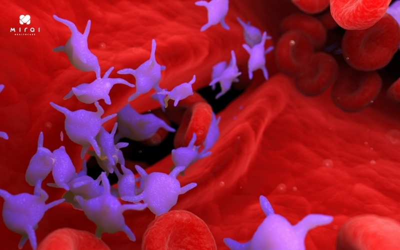 Xét nghiệm MPV đánh giá tiểu cầu trong máu