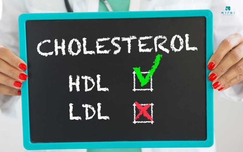 HDL-C là "cholesterol tốt" ngăn ngừa xơ vữa động mạch