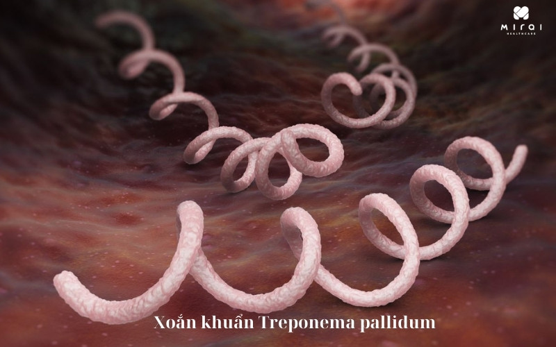xet-nghiem-tpha-phat-hien-khang-the-chong-treponema-pallidum